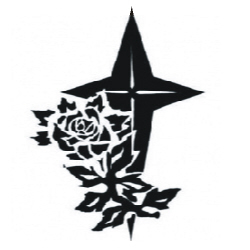 Image for choice number 13