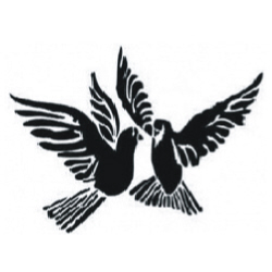 Image for choice number 42