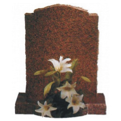 Image for choice number 6