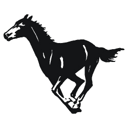 Image for choice number 44