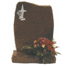 Image for choice number 29