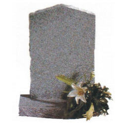 Image for choice number 11