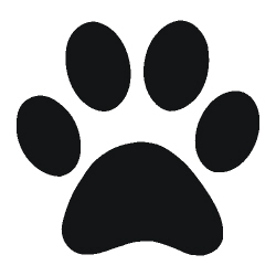 Image for choice number 38