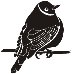 Image for choice number 49