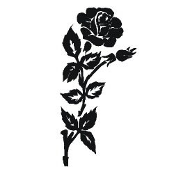 Image for choice number 21