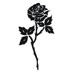 Image for choice number 23