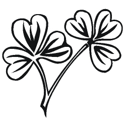 Image for choice number 32