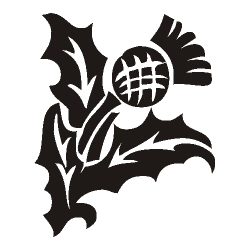 Image for choice number 50