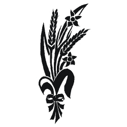 Image for choice number 33